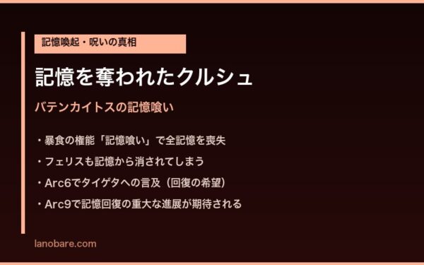 バテンカイトスに記憶を奪われたクルシュ