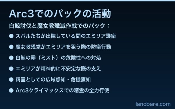 Arc3でのパックの活動一覧