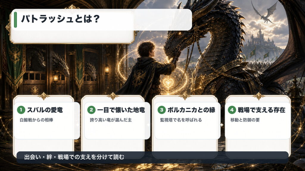 パトラッシュがスバルの愛竜として選ばれ、ボルカニカとの縁を持つことを整理した図解