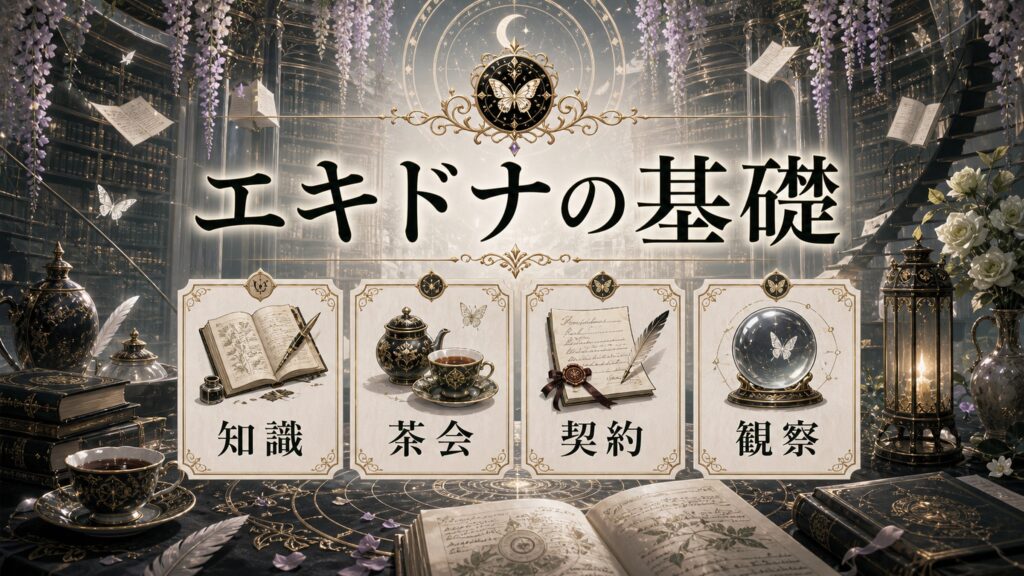 エキドナの基礎を知識、茶会、契約、観察として整理した図解